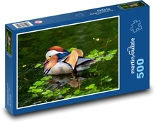 Kachna - vodní pták, zvíře Puzzle 500 dílků - 46 x 30 cm