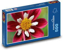 Jiřina - červená, květina Puzzle 500 dílků - 46 x 30 cm