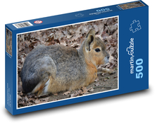 Hare - Patagonian, rodent Puzzle of 500 pieces - 46 x 30 cm 