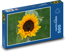 Žlutá slunečnice Puzzle 500 dílků - 46 x 30 cm