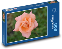 Rose - flower, flower Puzzle of 500 pieces - 46 x 30 cm 