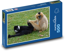 Małpa - gibon, zwierzę Puzzle 500 elementów - 46x30 cm