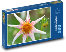 Jiřina - kvet Puzzle 500 dielikov - 46 x 30 cm