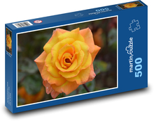 Růže - žlutá, květ Puzzle 500 dílků - 46 x 30 cm