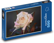 Růže - květ, příroda Puzzle 500 dílků - 46 x 30 cm