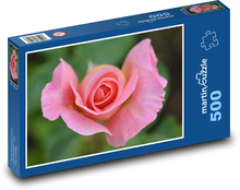 Růže - květ, růžová Puzzle 500 dílků - 46 x 30 cm