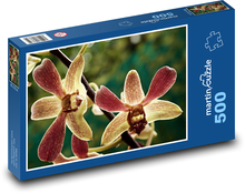 Orchidee - Blume, Pflanze Puzzle 500 Teile - 46 x 30 cm