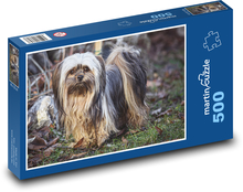 Roztomilý psík v prírode Puzzle 500 dielikov - 46 x 30 cm 