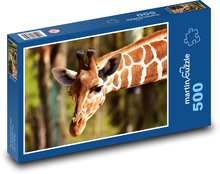 Giraffe - long neck, zoo Puzzle of 500 pieces - 46 x 30 cm