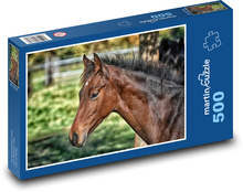 Kůň - hříbě, zvíře Puzzle 500 dílků - 46 x 30 cm