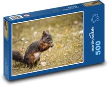 Eichhörnchen im Gras Puzzle 500 Teile - 46 x 30 cm