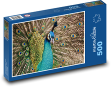 Páv - páv Puzzle 500 dielikov - 46 x 30 cm 