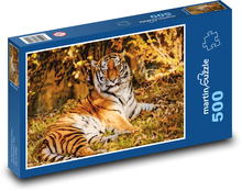 Tygr - šelma, dravec Puzzle 500 dílků - 46 x 30 cm