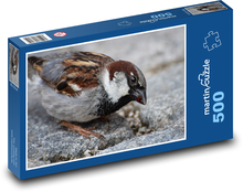 Spatz - Vogel, Schnabel Puzzle 500 Teile - 46 x 30 cm