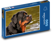 Rottweiler - Hund, Tier Puzzle 500 Teile - 46 x 30 cm