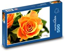 Oranžová růže Puzzle 500 - 46x30 cm
