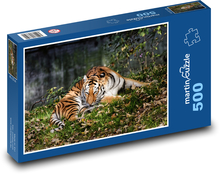 Tiger - dravá mačka, zviera Puzzle 500 dielikov - 46 x 30 cm 
