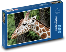 Żyrafa w zoo Puzzle 500 elementów - 46x30 cm
