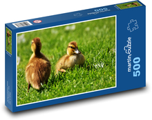 Entenküken im Gras Puzzle 500 Teile - 46 x 30 cm