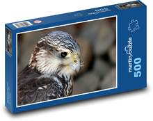 Falke - Raubvogel Puzzle 500 Teile - 46 x 30 cm