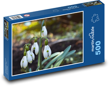 Sněženky - jarní květiny Puzzle 500 dílků - 46 x 30 cm