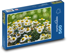 Sedmokrásky - kvet, záhrada Puzzle 500 dielikov - 46 x 30 cm 