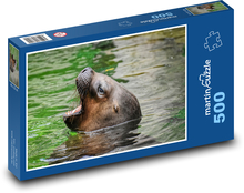 Lachtan - zvíře, příroda Puzzle 500 dílků - 46 x 30 cm