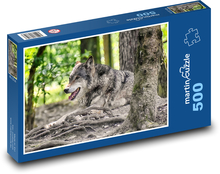 Vlk - dravec, šelma Puzzle 500 dielikov - 46 x 30 cm 