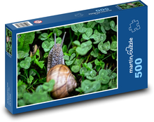 Hlemýžď - ulita, zvíře Puzzle 500 dílků - 46 x 30 cm