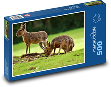 Králicu pampy - zviera, zoo Puzzle 500 dielikov - 46 x 30 cm 