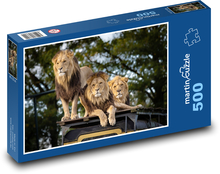 Lev - dravec, zvíře Puzzle 500 dílků - 46 x 30 cm