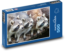 Mývalové - zvířata, zoo Puzzle 500 dílků - 46 x 30 cm