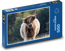 Cattle, bull, horns Puzzle of 500 pieces - 46 x 30 cm 