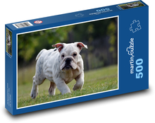 Buldog - šteňa, pes Puzzle 500 dielikov - 46 x 30 cm