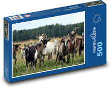 Ziegen - Tiere, Herde Puzzle 500 Teile - 46 x 30 cm