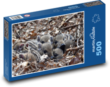 Divoká prasata - selata Puzzle 500 - 46x30 cm