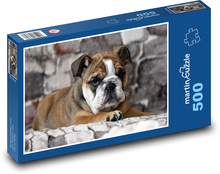 Puppy - bulldog, dog Puzzle of 500 pieces - 46 x 30 cm 