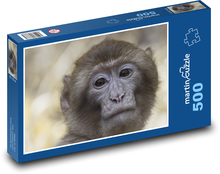 Makak - zvíře, opice Puzzle 500 dílků - 46 x 30 cm