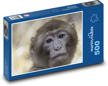 Makaken - Tier, Affe Puzzle 500 Teile - 46 x 30 cm