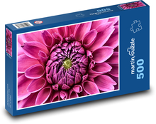 Ružová georgína - kvetina, záhrada Puzzle 500 dielikov - 46 x 30 cm