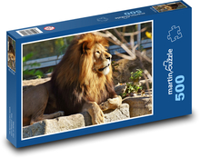 Lew - duży kot, grzywa Puzzle 500 elementów - 46x30 cm