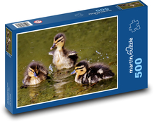 Krzyżówki - młode, wodne Puzzle 500 elementów - 46x30 cm