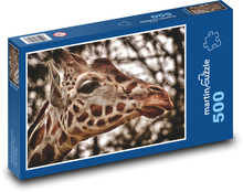 Žirafa - zoo, Afrika Puzzle 500 dílků - 46 x 30 cm