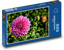 Rosa Dahlie - Gartenblume, Herbst Puzzle 500 Teile - 46 x 30 cm