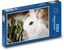 Dwarf rabbit - pet, white rabbit Puzzle of 500 pieces - 46 x 30 cm 