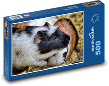Meerschweinchen - Jungtiere, Nagetier Puzzle 500 Teile - 46 x 30 cm