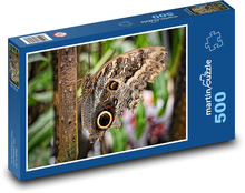 Butterfly - insect, animal Puzzle of 500 pieces - 46 x 30 cm 