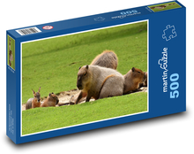 Kapybara - zvíře, savec Puzzle 500 dílků - 46 x 30 cm