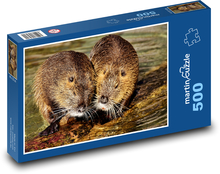 Nutrie - water rat, rodent Puzzle of 500 pieces - 46 x 30 cm 