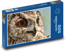 Owl - bird, animal Puzzle of 500 pieces - 46 x 30 cm 